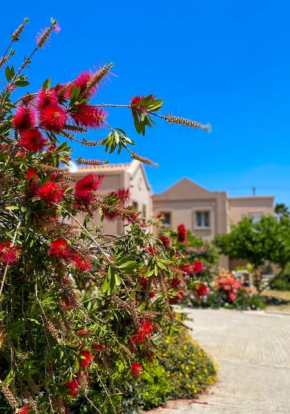 Casa Verde Houses - Dodekanes Kos